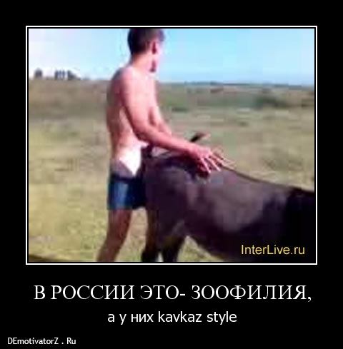 Армейские рассказы про то как дагестанцы ослов трахали Армейские Рассказы Про То Как Дагестанцы Ослов Трахали