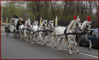 песня нежность татьяна буланова слушать песня нежность татьяна буланова слушать