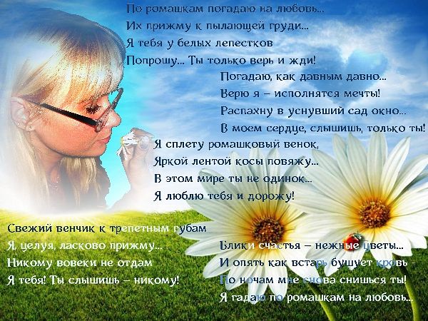 Стих про ромашку и любовь короткие и Стих про ромашку и любовь короткие и