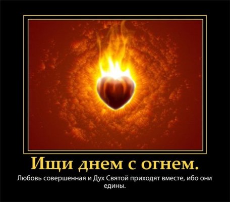 Кого ищут днем с огнем Кого ищут днем с огнем