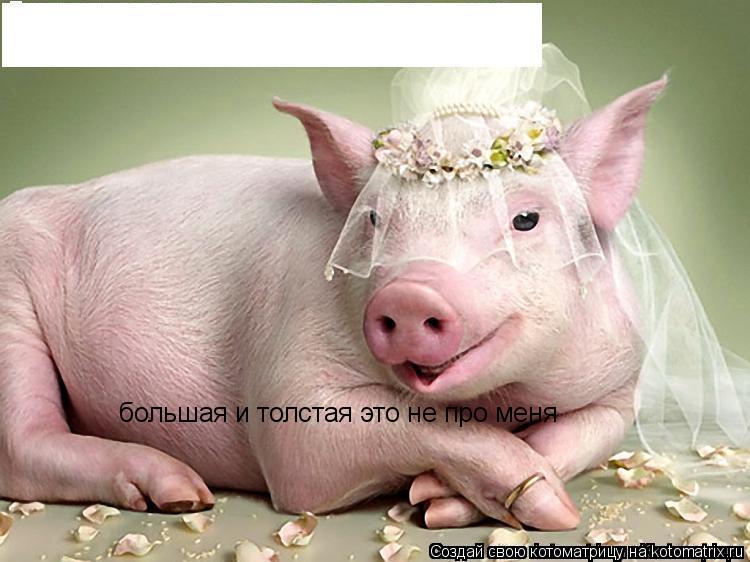 Иордания погода в декабре 2016