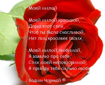 Стих какой ты милый мой Стих какой ты милый мой
