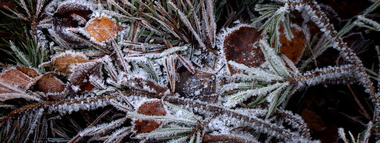 "Покрывало"