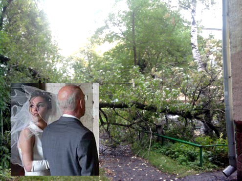 Любовь на коленях 