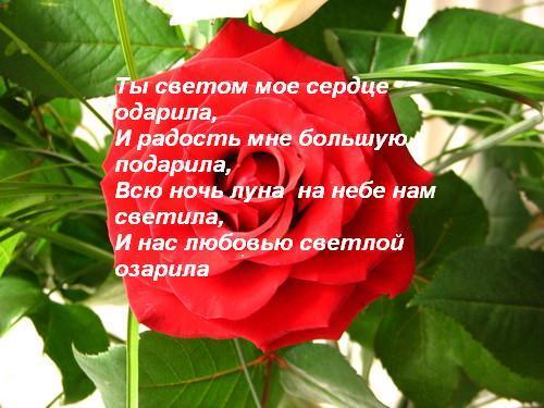 T получить выходной
