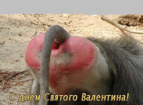 Скачать Поздравленья со Свадьбой