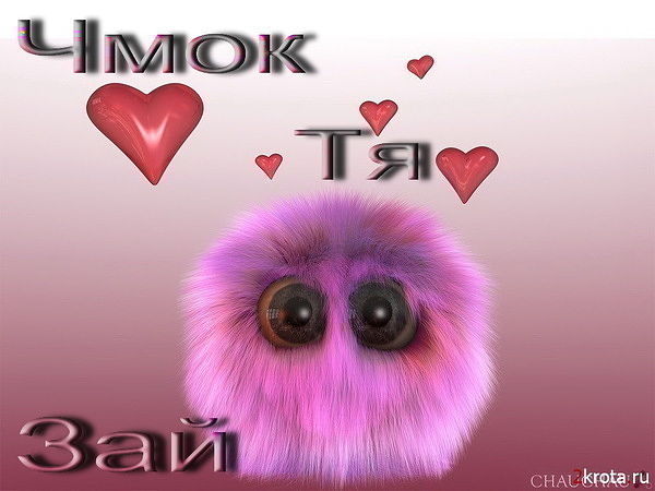 Стих я люблю тебя мой пушистик Стих я люблю тебя мой пушистик