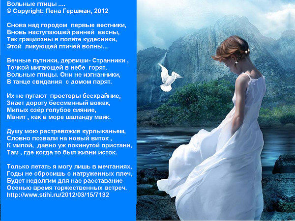 Стих птицы мои птицы Стих птицы мои птицы