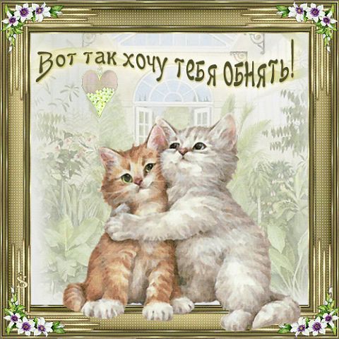 Вот как хочу обнять открытки Вот как хочу обнять открытки