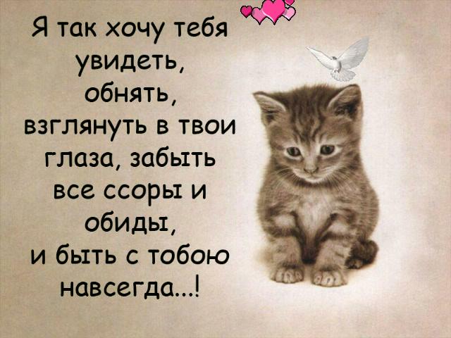 Стих я вас обидеть не хотел Стих я вас обидеть не хотел