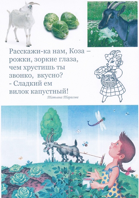 Крылатые фразы. Значение, происхождение и история крылатых Сказки для добрых сердец Абрамцева Н.К