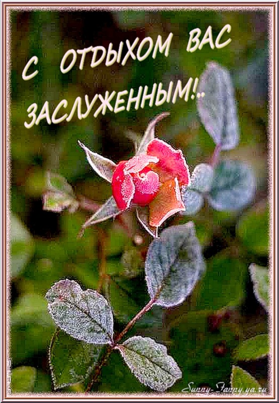 Открытки с заслуженным отдыхом Открытки с заслуженным отдыхом