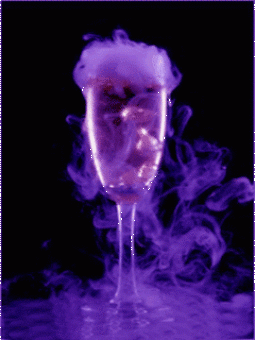 8491.gif
