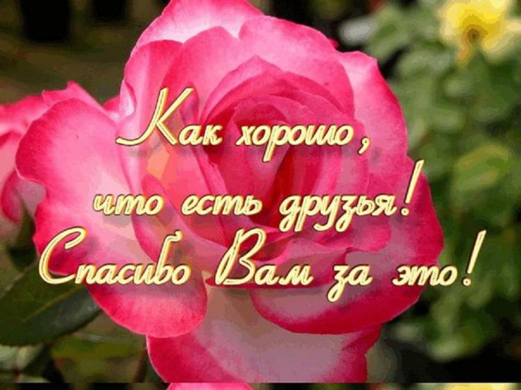 http://www.stihi.ru/pics/2012/07/13/4676.jpg