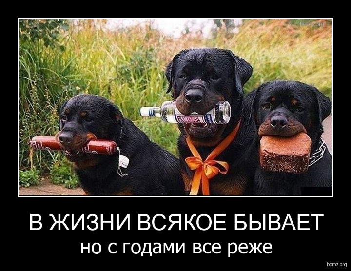 С днем рождения сибиряка С днем рождения сибиряка