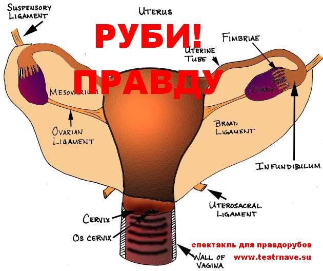 боль в лодыжке после снятия гипса боль в лодыжке после снятия гипса