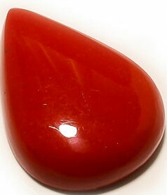 Коралл Камень