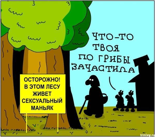 стихи насчет грибников да рыбаков стихи ради грибников да рыбаков