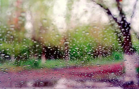 В Коми ожидаются первые грозы