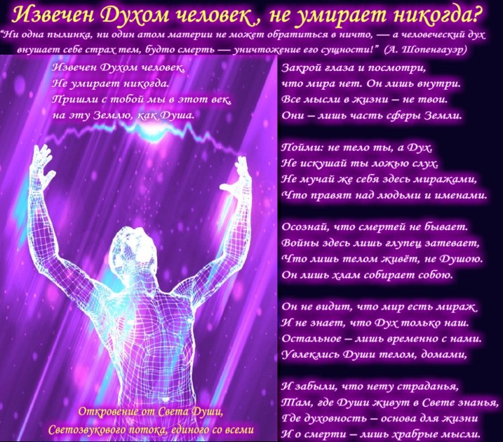 Стихи о человеке и его теле Стихи о человеке и его теле