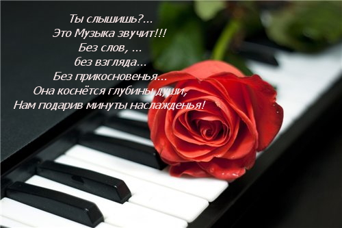 Стих если музыка то самая лучшая Стих если музыка то самая лучшая
