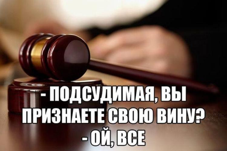 Не признание вины подсудимым Не признание вины подсудимым