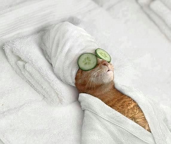 название[img=center alt=название