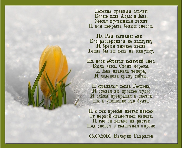 Поздравление семь я ева и адам Поздравление семь я ева и адам