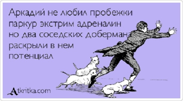 Про добермана стих Про добермана стих