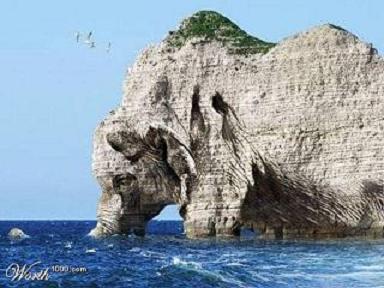 Выпить Море... Светлана Шиманская