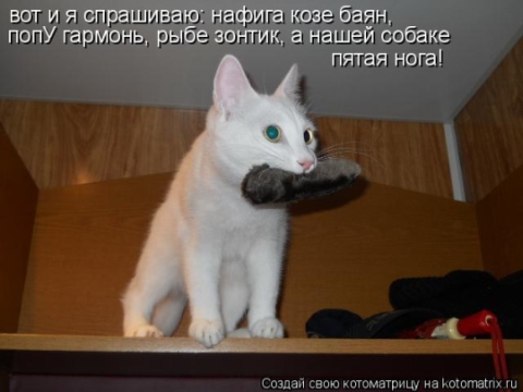 Скачать песню козы баян