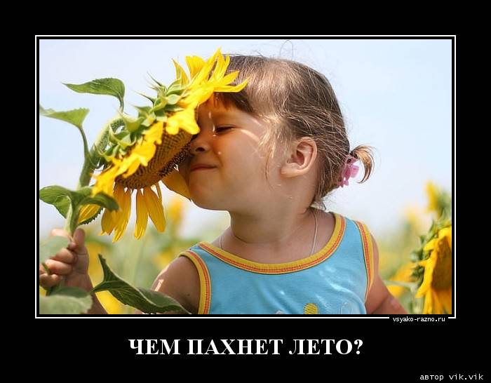 Запах лета стих Запах лета стих