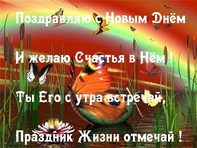 Поздравить с новым днем Поздравить с новым днем