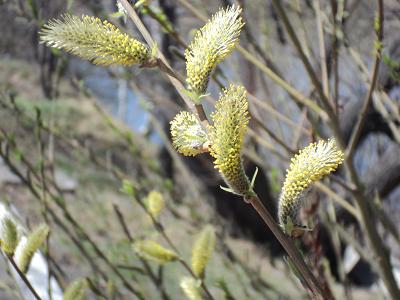 Фото автора Фото автора