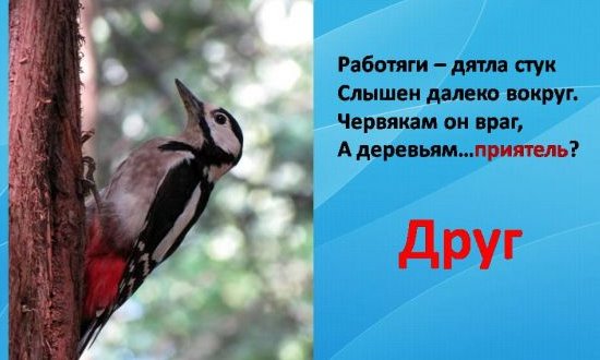 Как написать заявку на конкурс Как написать заявку на конкурс
