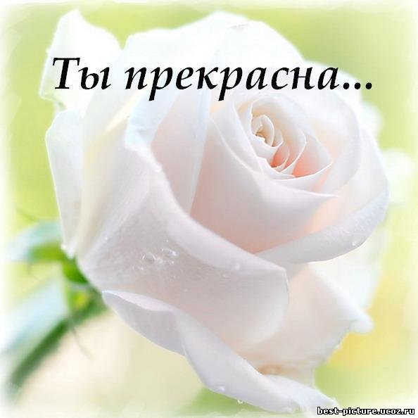 Комплимент девушке ты прекрасна как Комплимент девушке ты прекрасна как