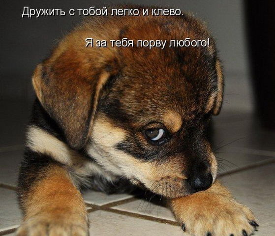 Ты у меня лучшая открытки Ты у меня лучшая открытки