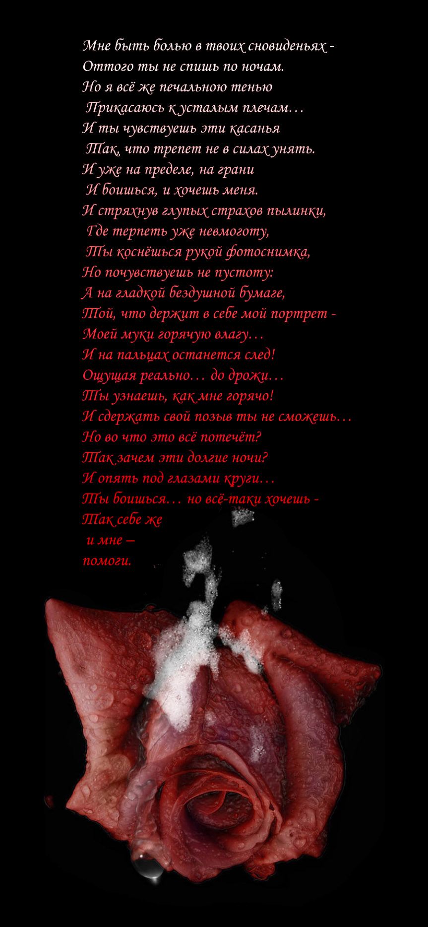 Я не сплю по ночам стих Я не сплю по ночам стих