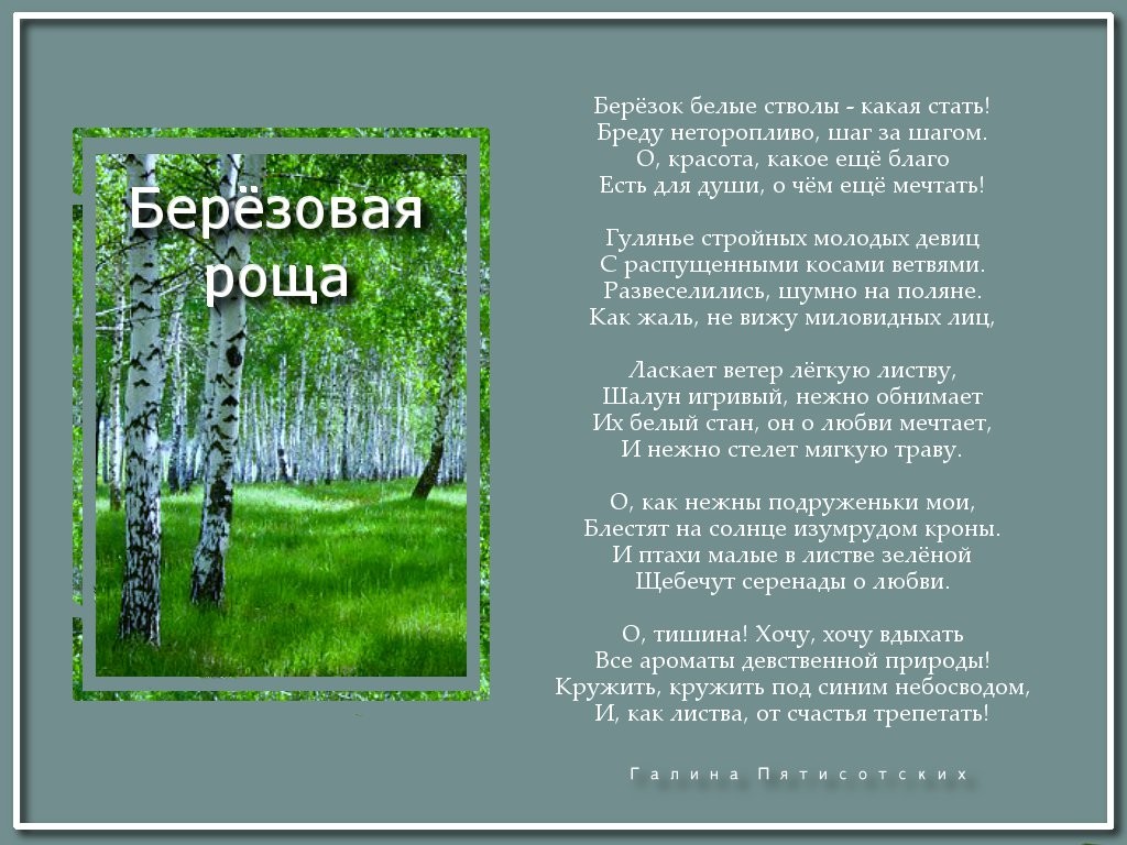 Стих березовой рощи в стихах Стих березовой рощи в стихах