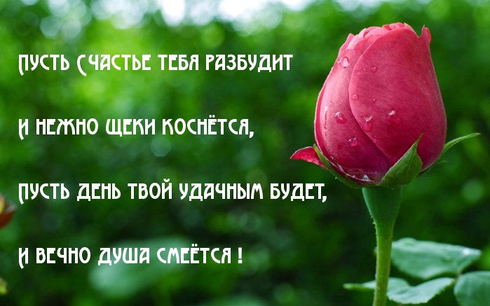 Статусы пусть все будет так как я хочу Статусы пусть все будет так как я хочу