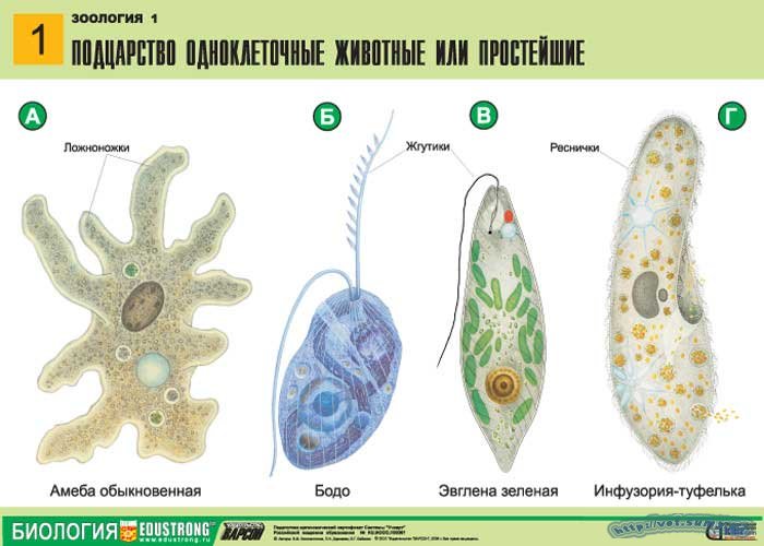 Маразм крепчает