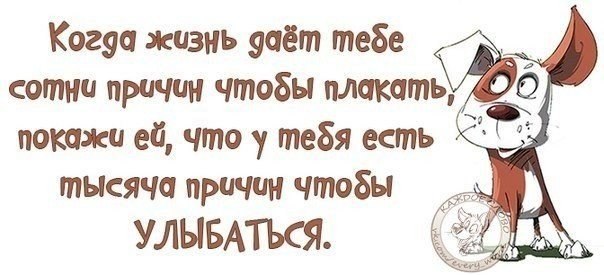 Стих и не унывать никогда Стих и не унывать никогда