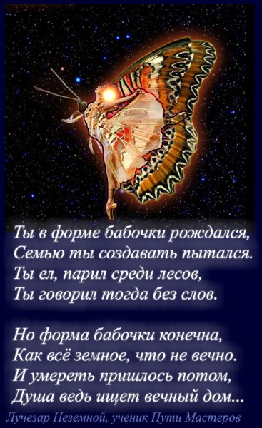 Стих о девушке и бабочке Стих о девушке и бабочке