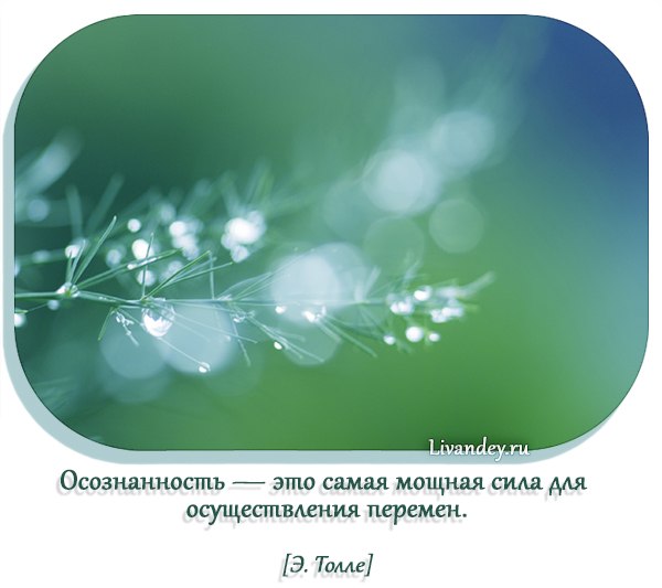 Изволь услышать