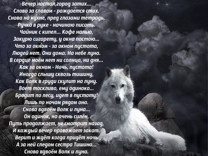 Глядя на луну стих Глядя на луну стих