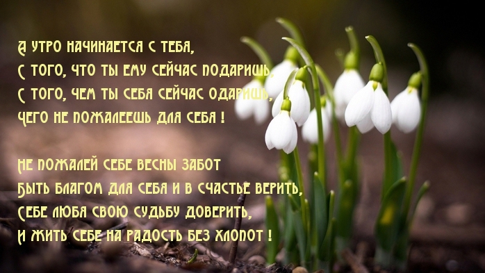 Стих мое утро начинается с тебя Стих мое утро начинается с тебя