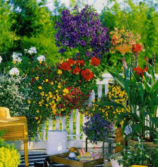 Летний мини-сад - цветущие балконы и террасы.. . Магазин декора