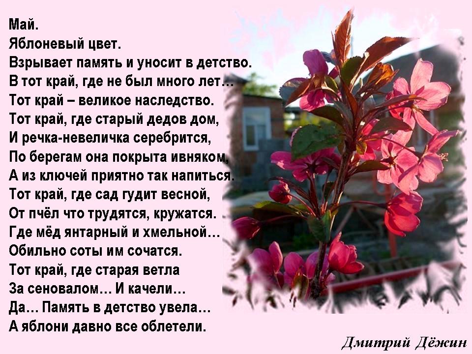 Стих о яблоневом цвете Стих о яблоневом цвете