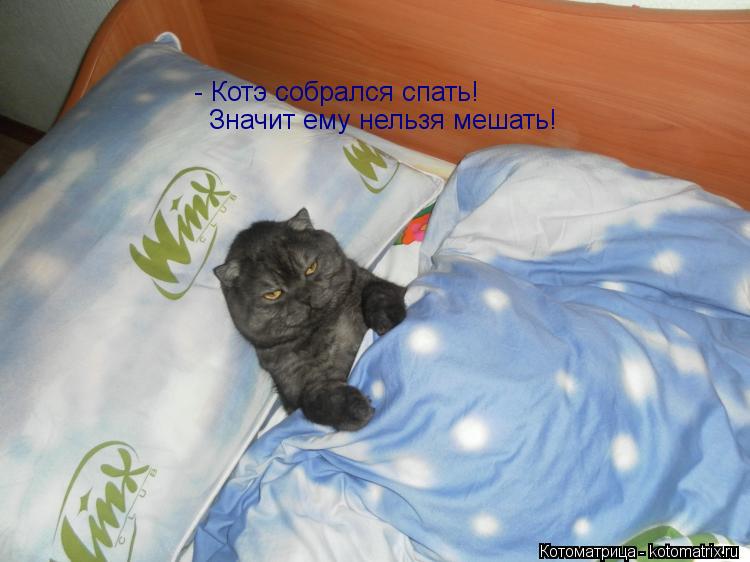 Как сделать что бы не хотеть спать Как сделать что бы не хотеть спать