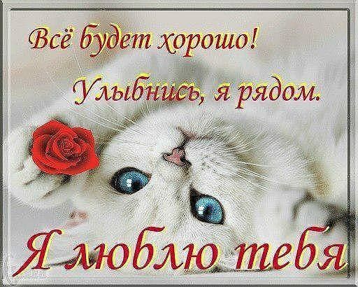 Люблю тебя в открытках Люблю тебя в открытках